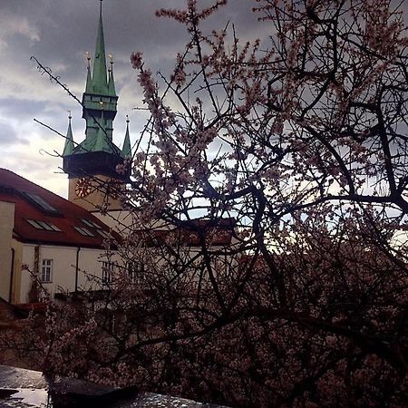 Althansky Palac Znojmo Ngoại thất bức ảnh