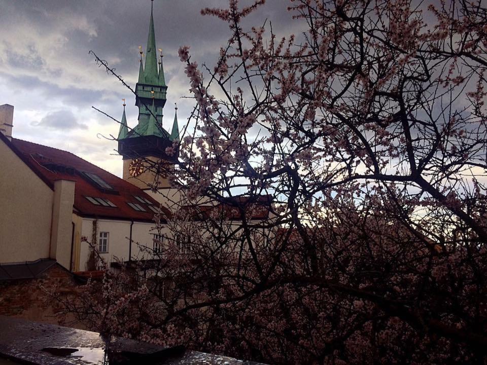 Althansky Palac Znojmo Ngoại thất bức ảnh